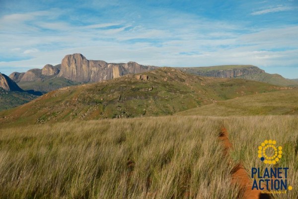 202502-madagaskar-133209FE66A-6EA1-DB6C-7AD3-8F571768DDA1.jpg